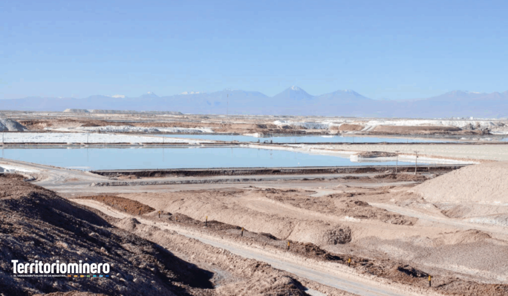 Piden suspender consulta indígena por asociación Codelco-SQM en el Salar de Atacama