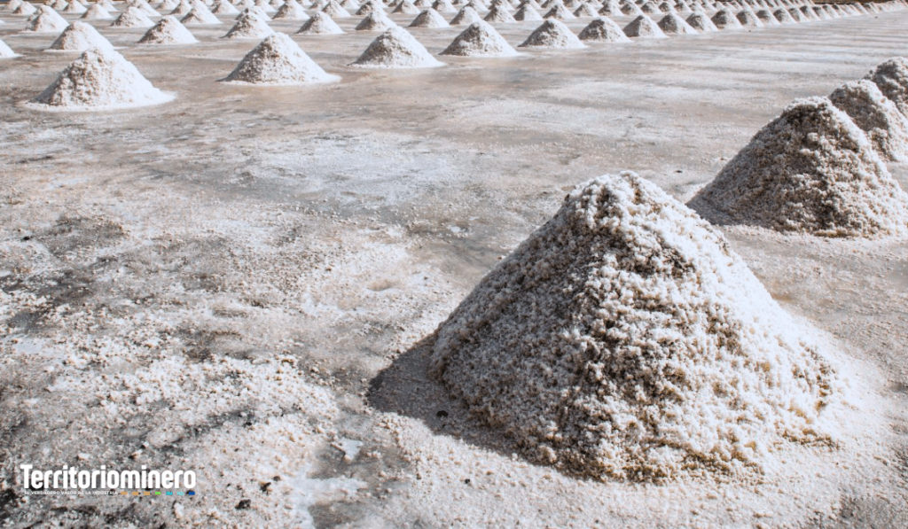 SEA aprueba proyecto de SQM para nuevas áreas de almacenamiento en Pampa Blanca