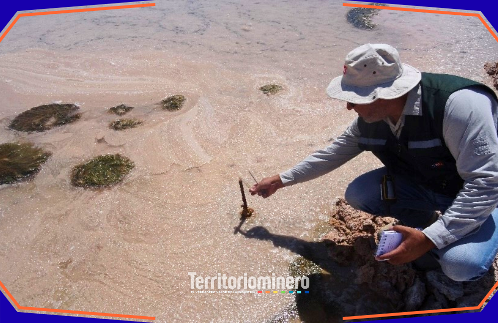 SMA multa a Albemarle por incumplimientos ambientales en proyecto de litio en Atacama