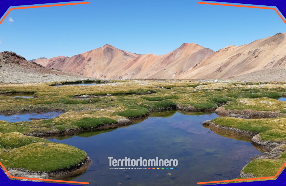 Compromiso Minero destaca avances del sector en la protección del medio ambiente y la biodiversidad Faena minera chilena con programas de conservación de biodiversidad y uso de energía renovable.