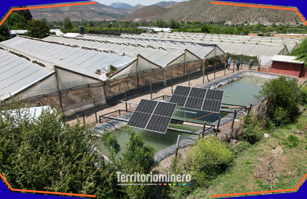 Agricultores de Salamanca utilizando paneles solares para riego en sus cultivos
