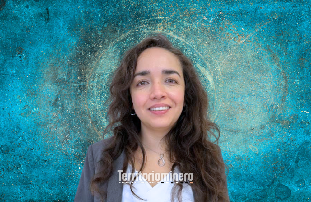 La transición energética no admite excusas Claudia Merino, líder de Energía de GHD Chile