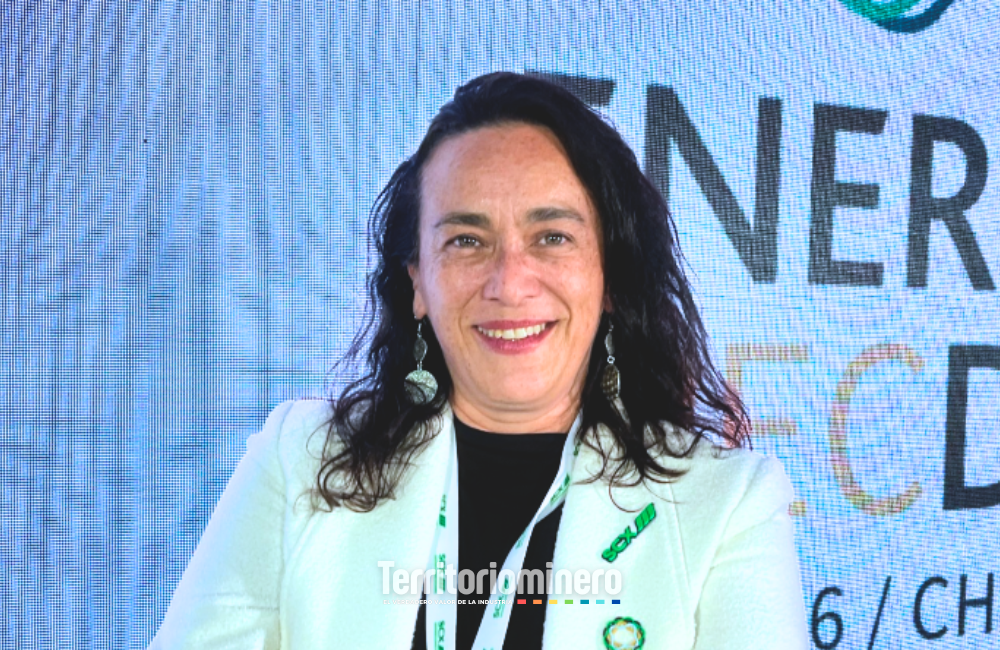 Verónica Lizana: “Chile es la joya en cuanto a energías renovables” Verónica Lizana, gerente corporativo de SCX y directora de I-REC Chile