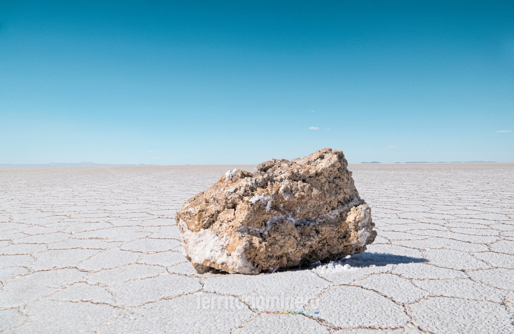 Salar Futuro entra al SEIA para extender litio en Atacama hasta 2060 Salar de Atacama donde Novandino Litio proyecta Salar Futuro para extender la operación de litio hasta 2060.